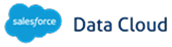Salesforce Data Cloud